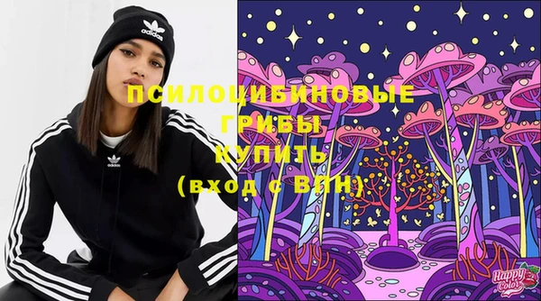 гашик Бугульма