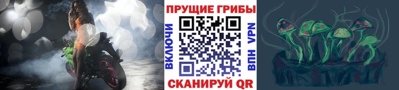 Купить закладки Майский Галлюциногенные грибы ЛСД